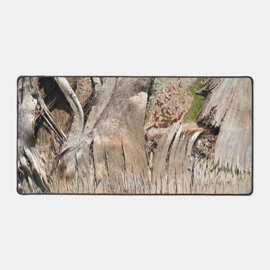 Date Palm Tree Trunk Texture Fermer Photo Image (Recto)