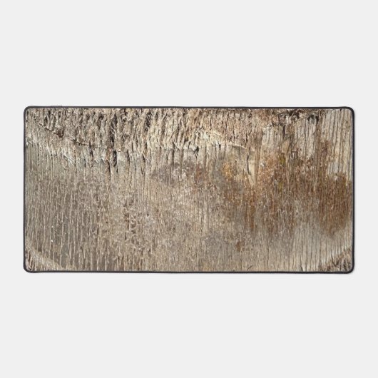 Date Palm Tree Trunk Texture Fermer Photo Image (Recto)