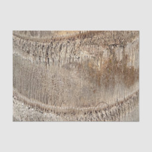 Datum Palm Tree Trunk Texture Close-up Foto Afbeel Tissuepapier