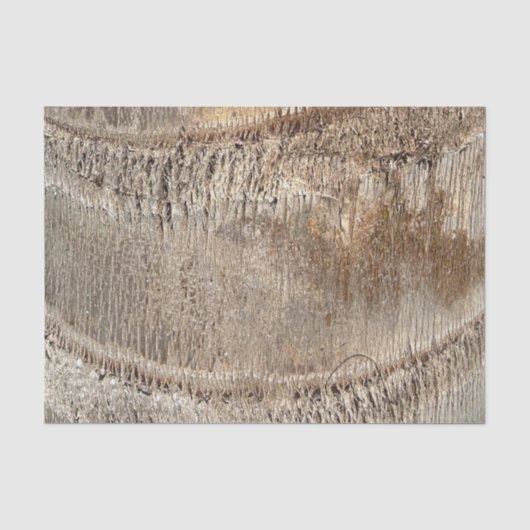 Datum Palm Tree Trunk Texture Close-up Foto Afbeel Tissuepapier (Voorkant)
