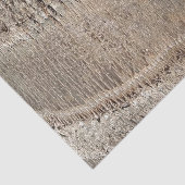 Datum Palm Tree Trunk Texture Close-up Foto Afbeel Tissuepapier (Detail)