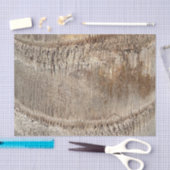 Datum Palm Tree Trunk Texture Close-up Foto Afbeel Tissuepapier (Craft)