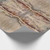 Datum Palm Tree Trunk Texture Close-up Foto Cadeaupapier (Hoek)