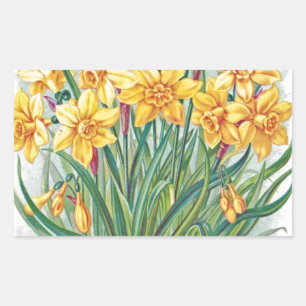 datum RSVP bloemen narcis geel vintage Rechthoekige Sticker