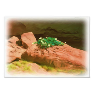 Datura Cavern Foto Afdruk