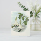 Datura en Hummingbird Briefkaart (Staand voorkant)