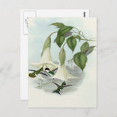Datura en Hummingbird Briefkaart (Voorkant / Achterkant)