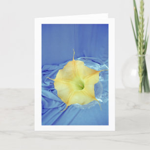 Datura Flower Photo Wenskaart Kaart