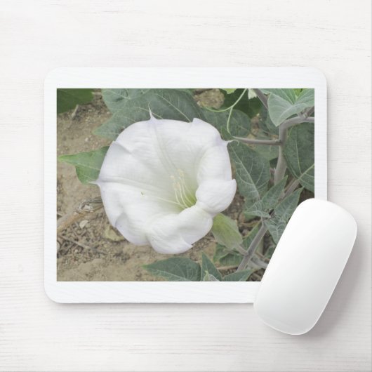 Datura Muismat (Met muis)