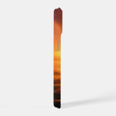 Dauphin Au Coucher De Soleil D'Or (Côté droit)