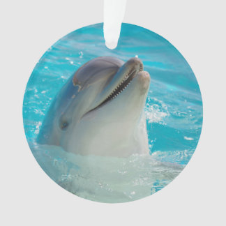 Dauphin heureux de natation