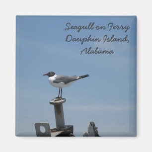 Dauphin Island, Alabama Magnet Magneet