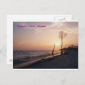 Dauphin Island Briefkaart (Voorkant / Achterkant)