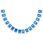 Dauphin Joyeux Anniversaire Piscine Fête Drapeaux (Tout)