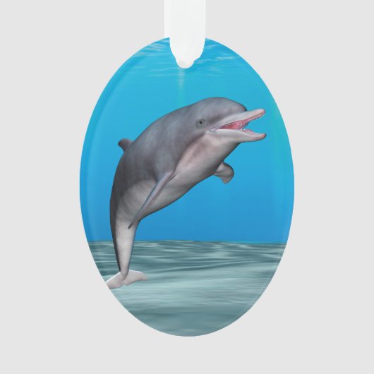 Dauphin mignon (devant)
