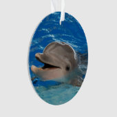 Dauphin mignon de vibration (devant)