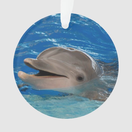 Dauphin mignon de vibration (devant)