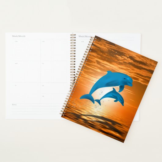 Dauphins (Devant avec enveloppe)
