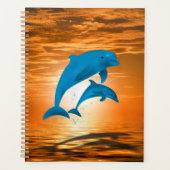 Dauphins (Devant)