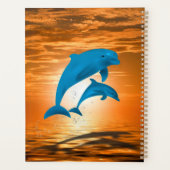 Dauphins (Dos)