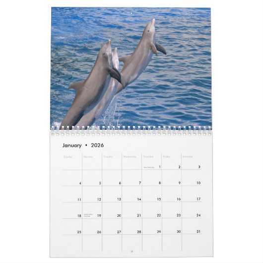 Dauphins de verdure calendrier 12 mois (Jan 2026)