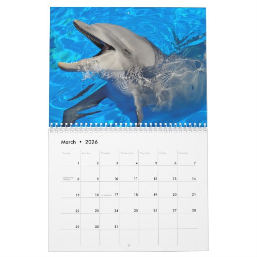 Dauphins de verdure calendrier 12 mois (Mar 2026)