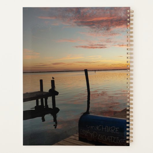 Dauphins du coucher du soleil (Dos)