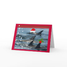 dauphins joyeux et carte heureuse lumineuse de