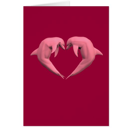 Dauphins roses (Devant)