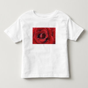 Dauw bedekte rode roos versiert grafsite in kinder shirts