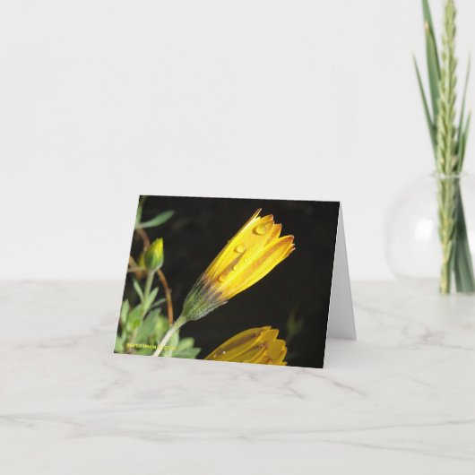 Dauw op een Yellow Daisy - Note Kaart (Voorkant)