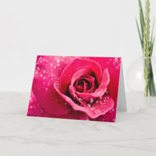 Dauwdruppels op Roze Wenskaart Kaart