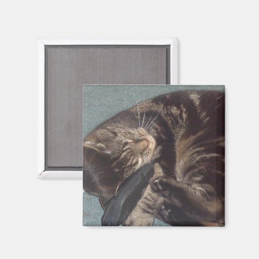 Dave 5.1 Cm Square Magnet afspelen Magneet (Voorkant / Achterkant)