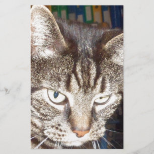 Dave kijkt naar jou briefpapier