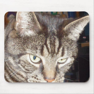Dave kijkt naar jou Mousepad Muismat