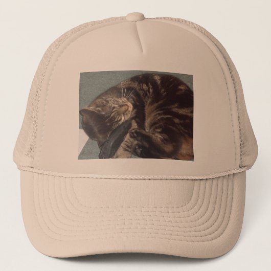 Dave Trucker Hat Pet (Voorkant)
