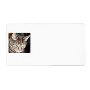 Dave volgt je verzendlabels etiket