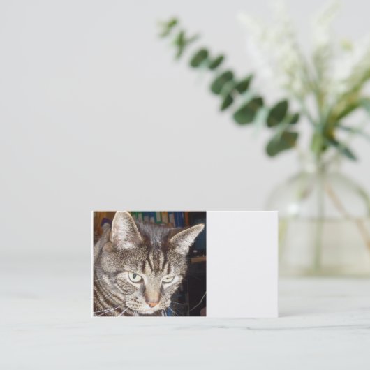 Dave vous regarde Cartes de visite (Debout devant)