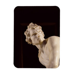 David, 1623-24 (marmer) (detail) magneet