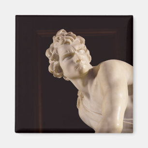 David, 1623-24 (marmer) (detail) magneet