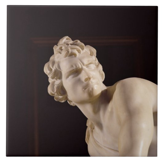 David, 1623-24 (marmer) (detail) tegeltje (Voorkant)