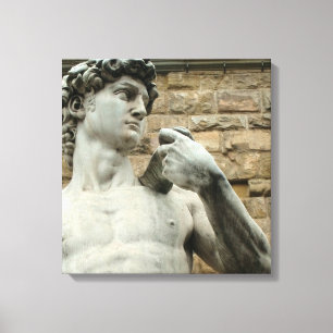 David 1 Canvas Print van Michelangelo