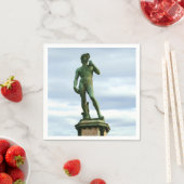 David 2 van Michelangelo Servet (Insitu)