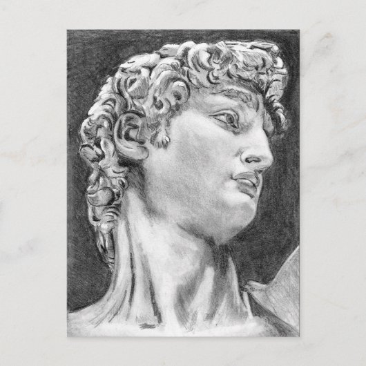 David after Michelangelo ... 2004 / 2005 sketchboo Briefkaart (Voorkant)