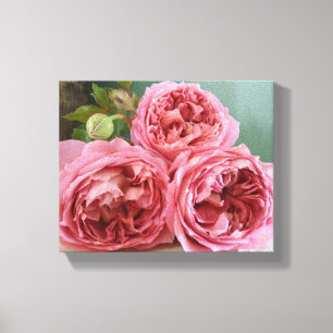David Austin Heritage English Rozen Print
