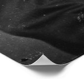 David B. Birney Poster (Hoek)