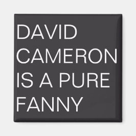 David Cameron Magneet