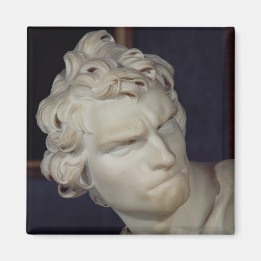 David, details van het hoofd, 1623-23 magneet (Voorkant)