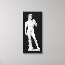 David door Michelangelo Ingewikkeld Canvas