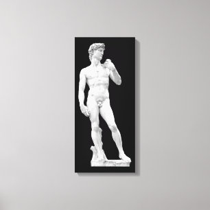 David door Michelangelo Ingewikkeld Canvas